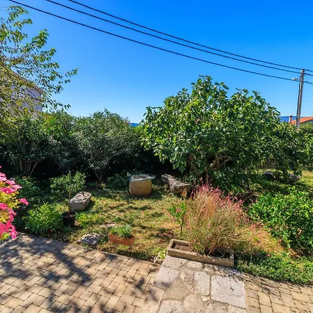 Insula Insule Appartement