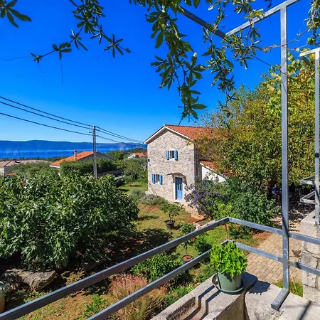 Insula Insule Apartment *