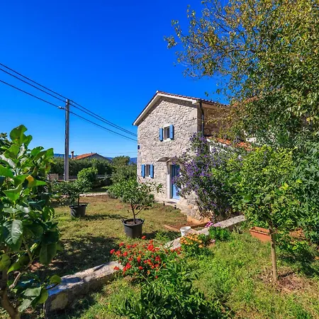 Insula Insule Apartman *